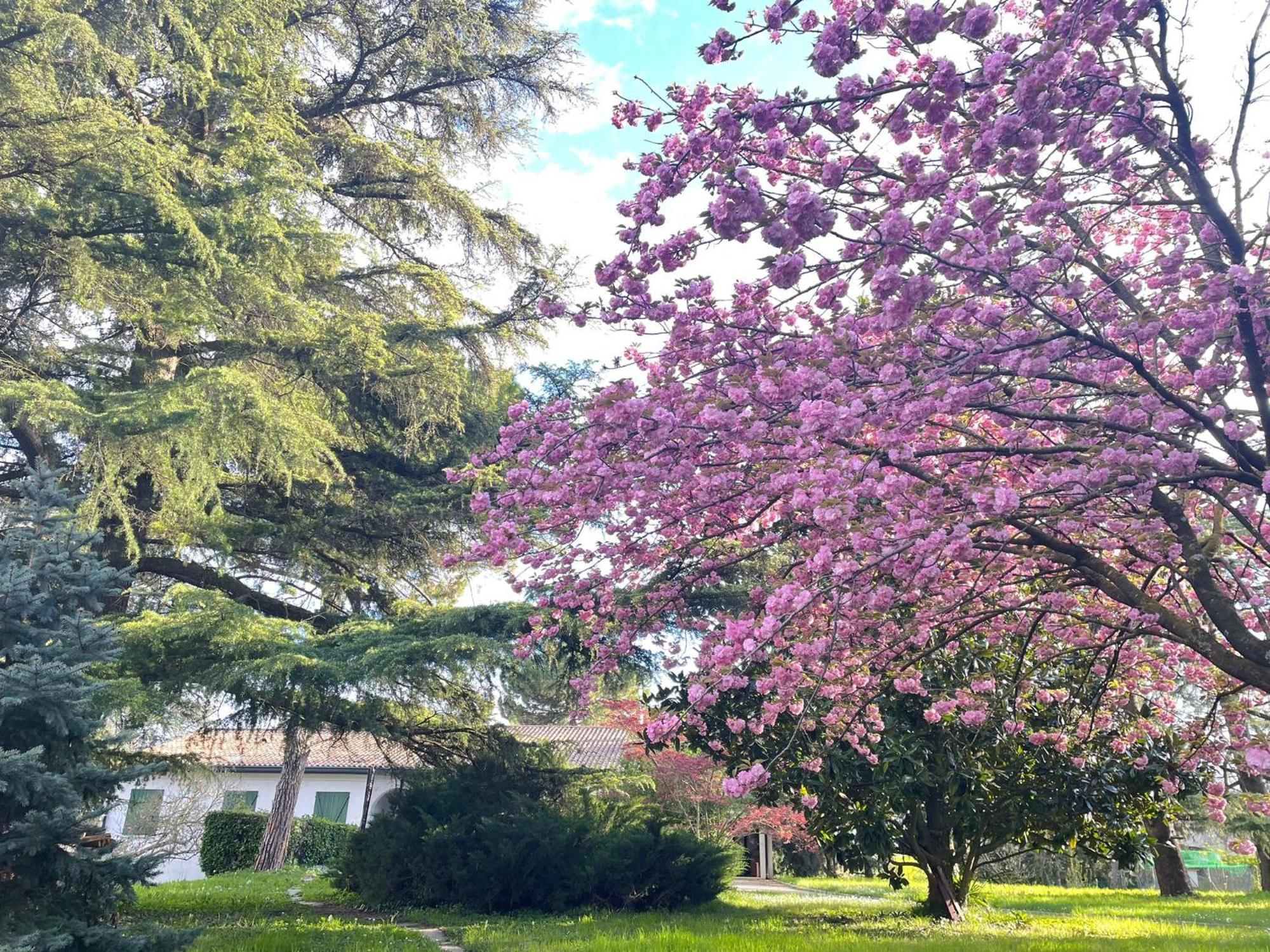 Villa Giacinti *