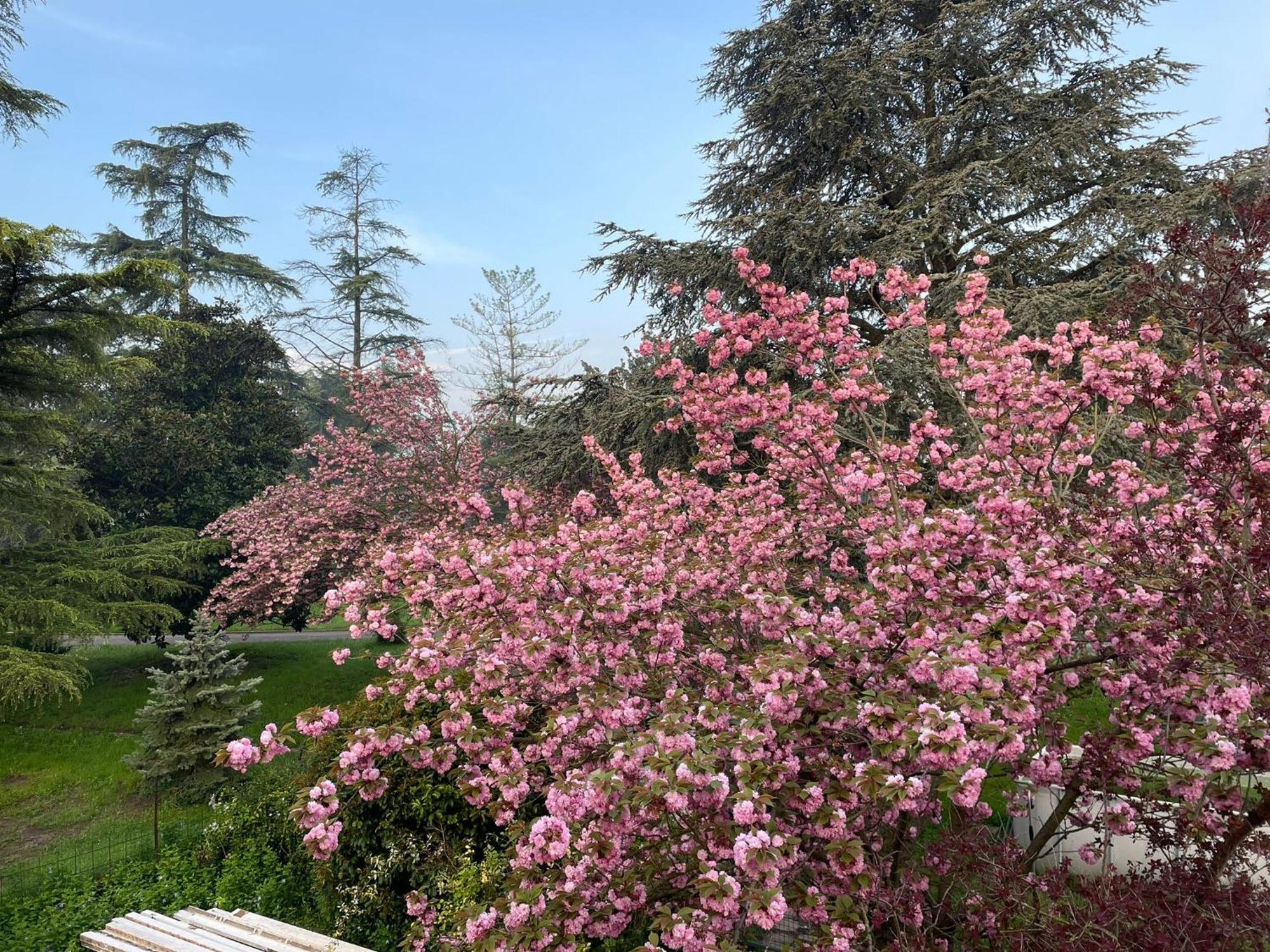 Villa Giacinti Padova